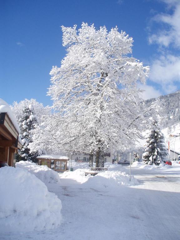 Haus Seifriedsberger Apartment Bramberg am Wildkogel Luaran gambar